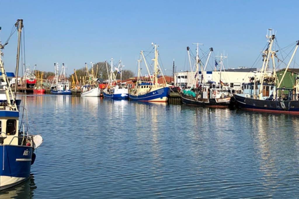 Nordseeglueck In Buesum Nahe Familienlagune Eksteriør billede